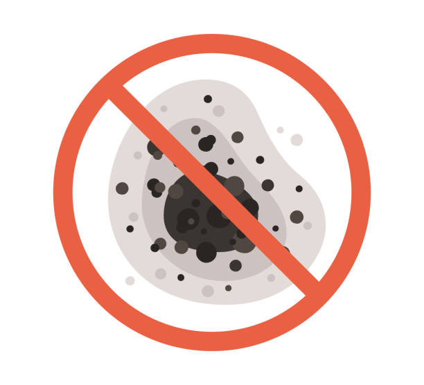 Reliable Newcastle, CA Mold Removal Solutions