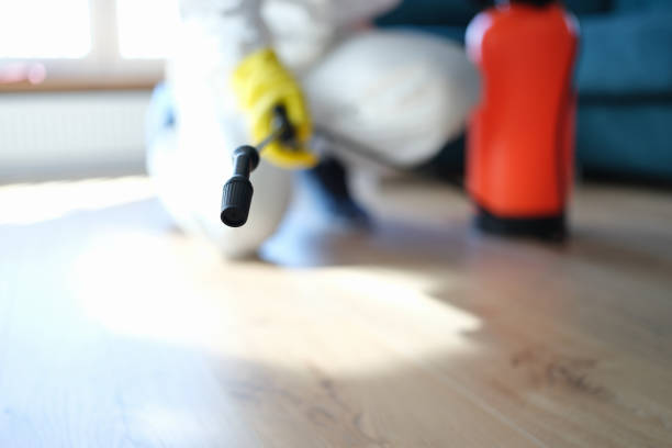 Best Environmental Consulting for Mold Prevention  in Newstle, CA