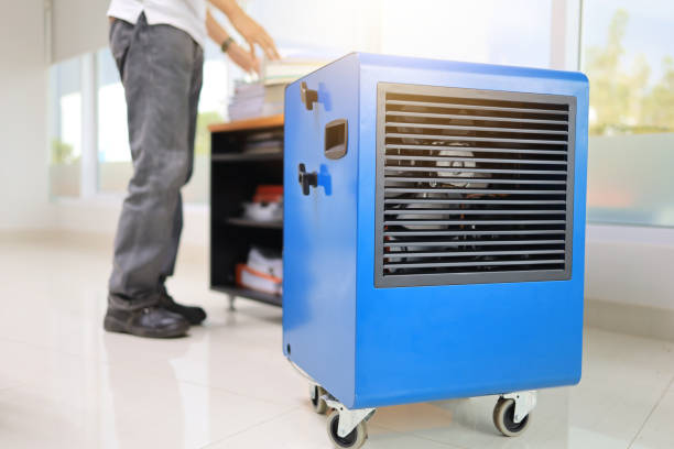 Best Real Estate Mold Inspection  in Newstle, CA