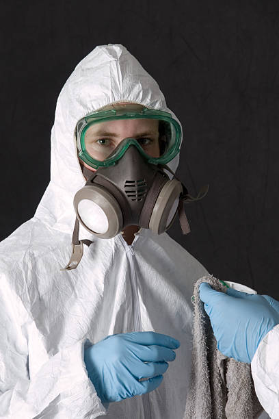 Asbestos and Lead Testing During Mold Inspection in Newcastle, CA
